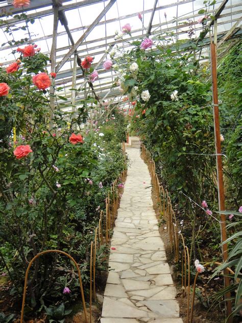 It was named after a british surveyor, william. Gardening Dream Inspire: Rose Valley in Cameron Highlands
