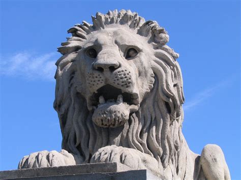 Chain Bridge Lion Budapest Lion Sculpture Lions Lion