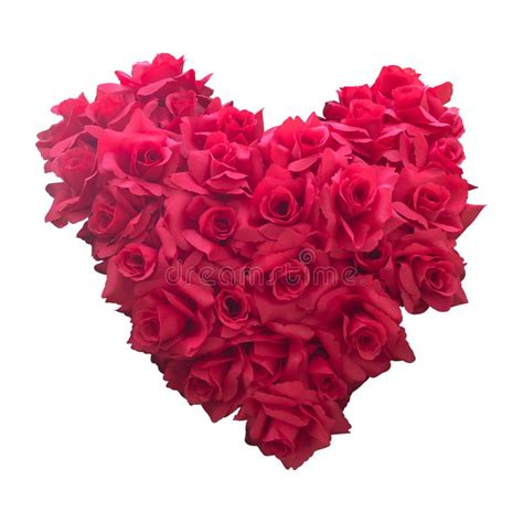 Le rose di colore rosso sono una scelta vincente in quasi ogni i bouquet di rose rosse a gambo lungo sono fiori di un rosso sgargiante di prima scelta. Fiori Heart-shaped. fotografia stock. Immagine di fragrante - 22173082