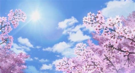 Sakura Trees Anime Aesthetic Pink Sakura Tree Anime