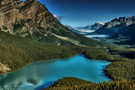 Tlcharger Fond Decran Lac Peyto Banff Alberta Canada Fonds Decran
