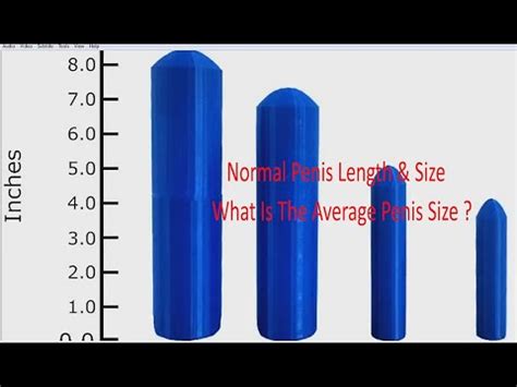 Normal Penis Length And Size What Is The Average Penis Size Youtube