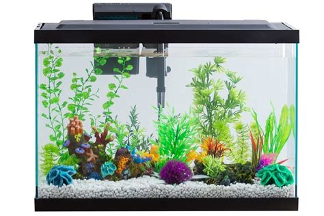 Mendesain Aquarium Minimalis Di Dalam Rumah Agar Tampil Estetik