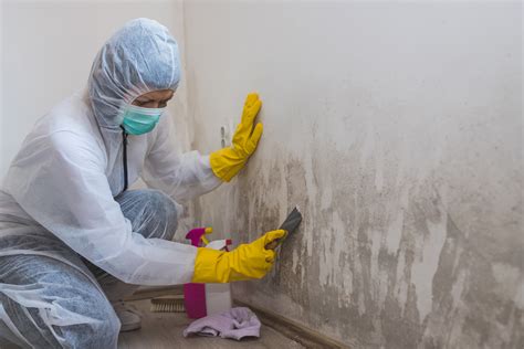 Mold Program | Department of Labor