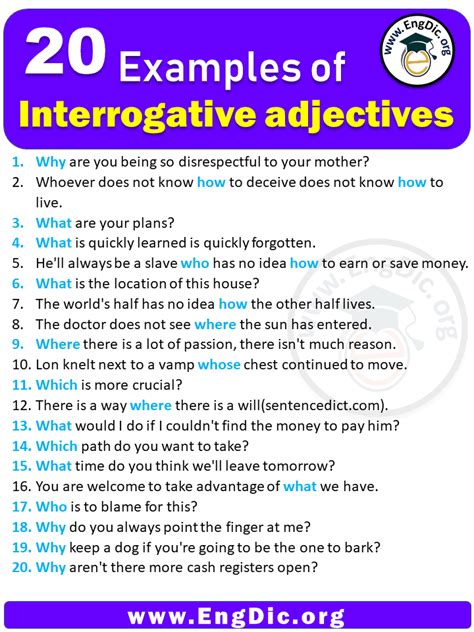 20 Examples Of Interrogative Adjectives In Sentences Engdic