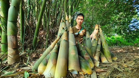 Episode 75 Harvesting Giant Bamboo Shoots To Preserve Live With