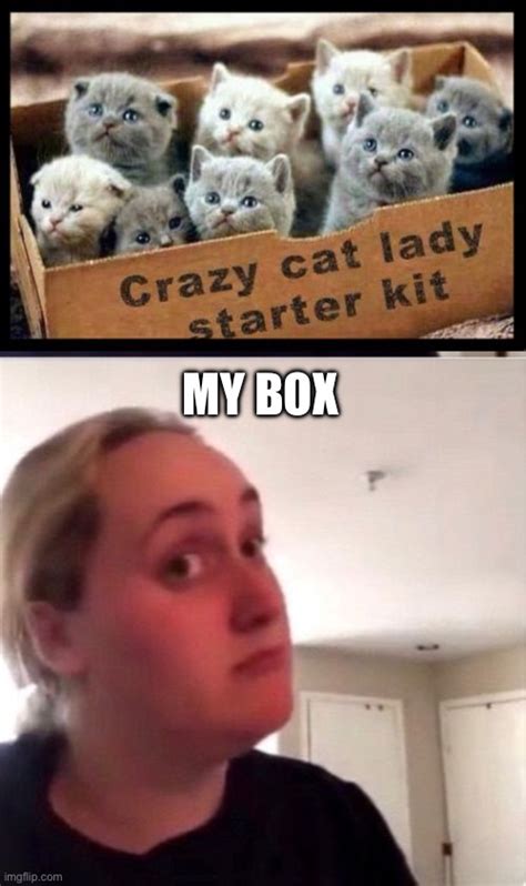 Image Tagged In Crazy Cat Lady Starter Kitwoman Trying Kombutcha Imgflip