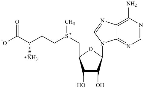 Illustrated Glossary Of Organic Chemistry S Adenosyl Methionine Sam