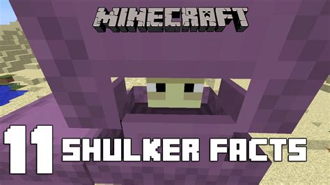 Minecraft 11 Shulker Facts You Might Not Know Youtube