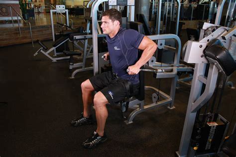 Seated Dips Machine Muscles Worked Vlrengbr