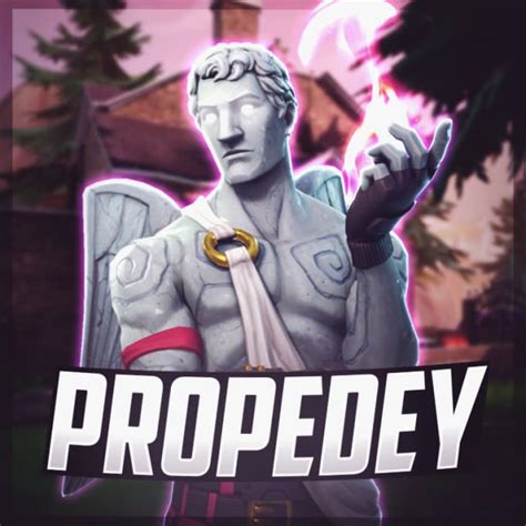 Make Fortnite Banner And Profile Picture By Propedey Fiverr