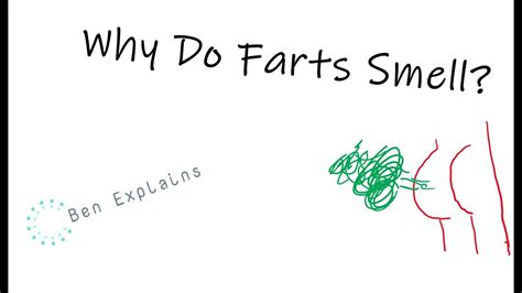 Why Do Farts Smell Youtube