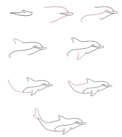 Learn To Draw A Dolphin Step By Step On The Image Toolbar Go To Learn