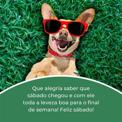 40 mensagens de feliz sábado para animar o nosso fim de semana