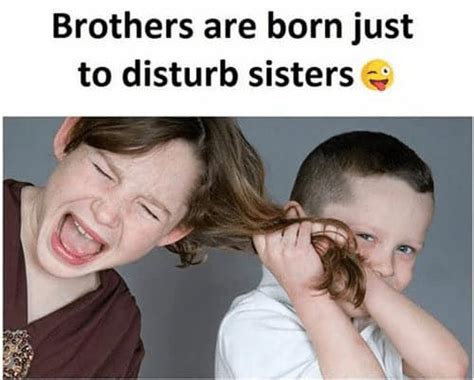 Themeseries Sibling Brother And Sister Quotes Funny