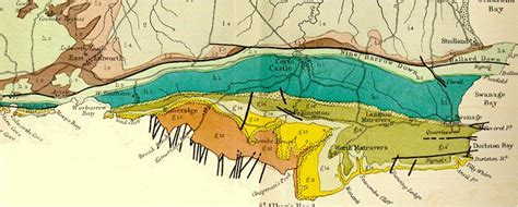 Geology Of The Central South Coast Of England