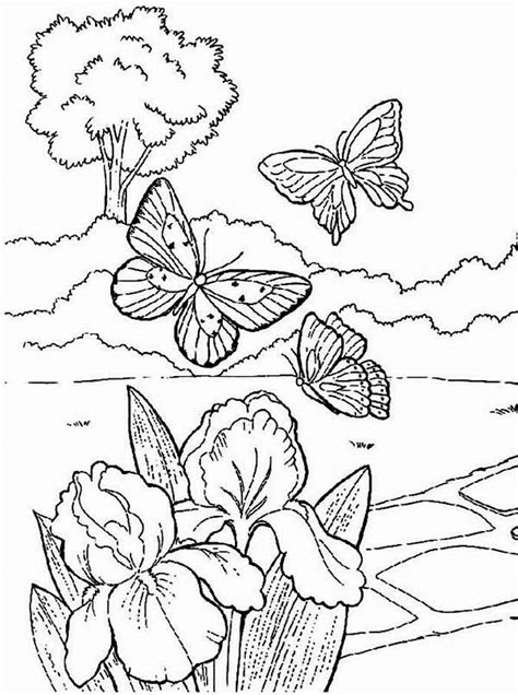 Https://techalive.net/coloring Page/free Coloring Pages Of Butterflies