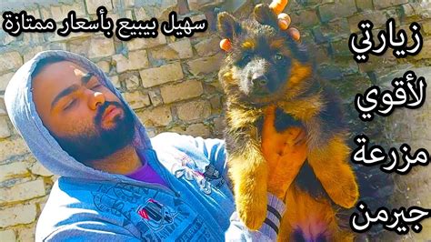 زيارتي لأقوي مزرعة كلاب فى غرب اسكندرية سهيل التركي Youtube