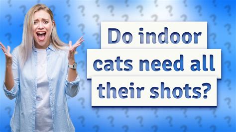Do Indoor Cats Need All Their Shots Youtube