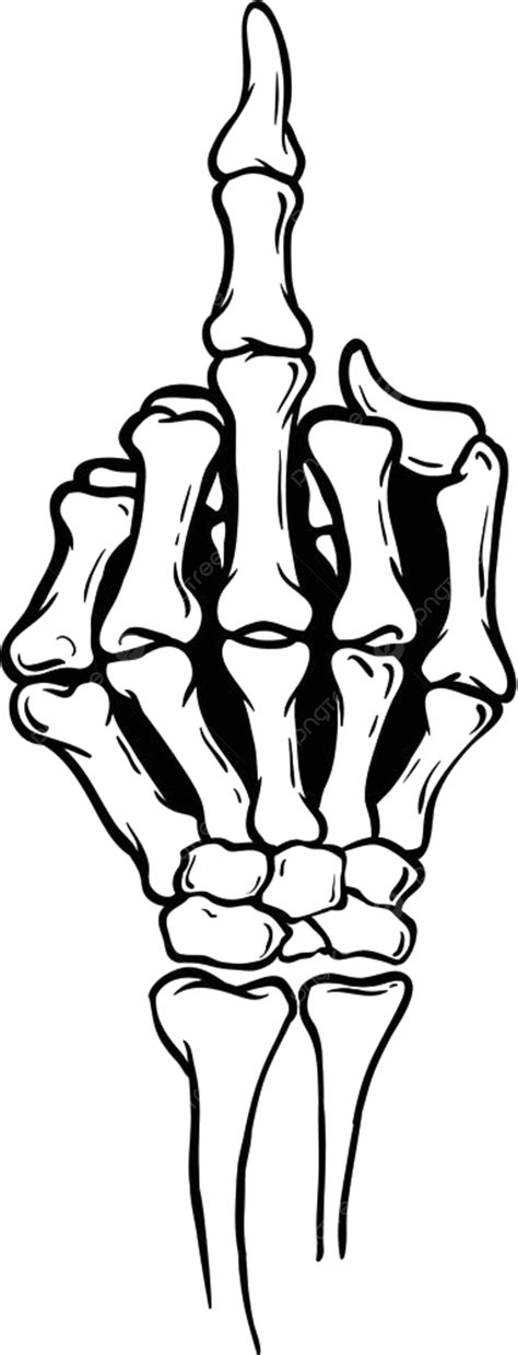 Vector Skull Finger Png Clipart Skeleton Middle Finger Drawing Free