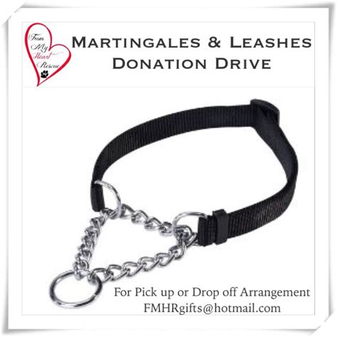 Please ️ Pin Our Fmhr Martingales Leashes Drive Please Help Our Dogs