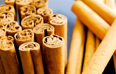 Pure Organic Raw Ceylon Cinnamon Sticks 50 Grams Pack True Etsy