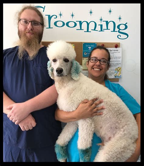 Dog Grooming In Chula Vista Ca Amazon Animal Hospital