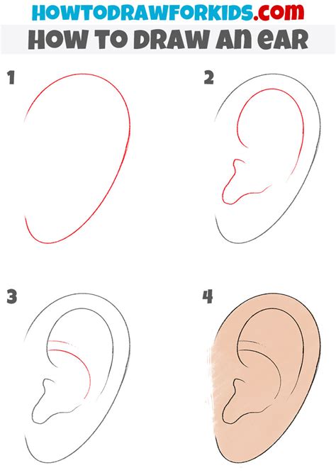 How To Draw An Ear Easy Drawing Tutorial For Kids