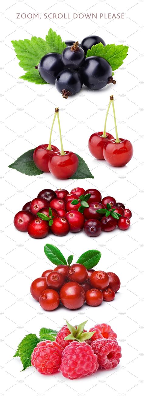 Berries, 5 images | Berries, List of berries, Light in the dark