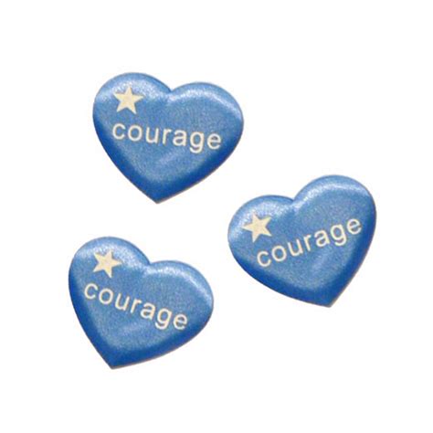 Blue Courage Heart Inserts 48 Pcspk Teddy Mountain
