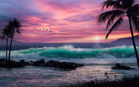Download Wallpapers Tropical Islands Evening Sunset Ocean Waves Beach Pink Sunset Summer