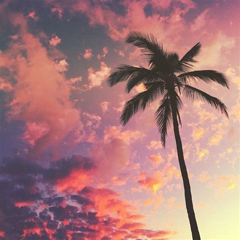 382 Best Lets Get Tropical Images On Pinterest Palm