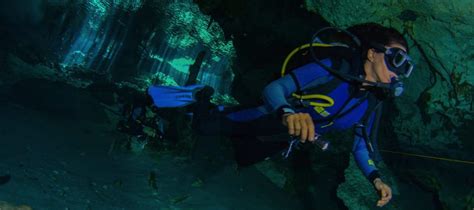 Top 5 Mejores Lugares Para Bucear Cuevas En Tulum Koox Diving