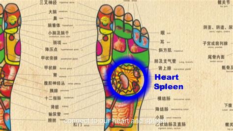 Chinese Foot Massage Video Dailymotion