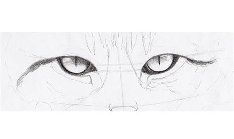 The Simple Guide To Drawing Realistic Cat Eyes Çizim