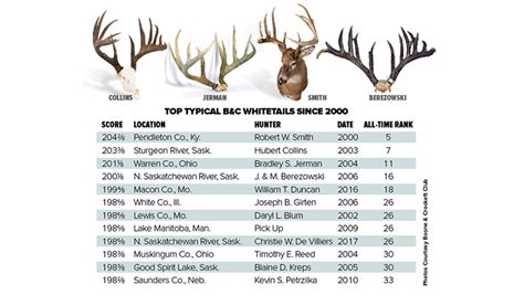 Top States For Monster Whitetails An Official Journal Of The Nra