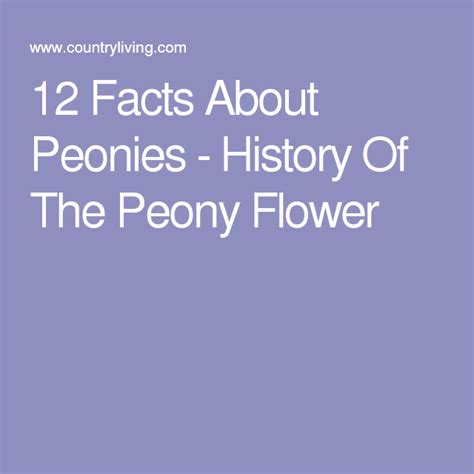 12 Facts Every Peony Enthusiast Needs To Know Peonies Facts Peony