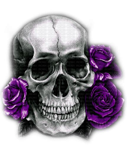 Skullrosesblackwhitepurple By Kittykatluv65 Skull Roses Goth
