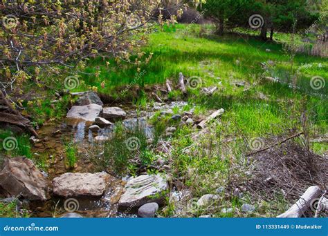 Spring At Ridgway Stock Image Image Of Small Scene 113331449