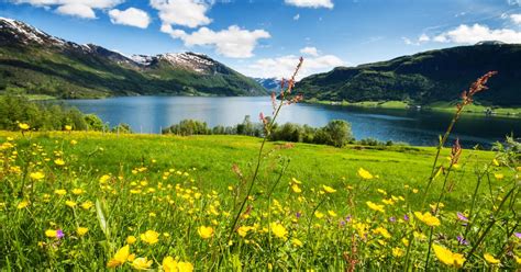 Sommer sommer bilder og skrivebordsbakgrunn last ned bilder 565 bilder. Juli er årets syvende måned