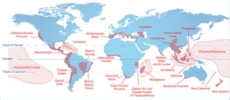 Map Of The World Showing Areas Of Exceptional Biodiversity Hotspots