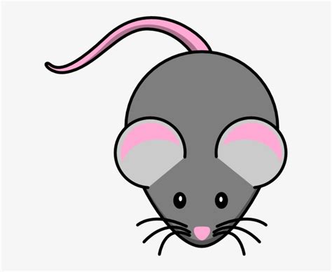 Download High Quality Mouse Clipart Transparent Background Transparent
