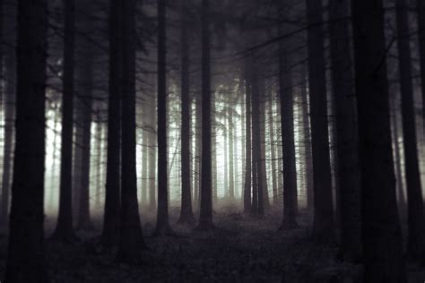 Scary Forest Scary Forest By Jeaneta On Deviantart Scary Woods