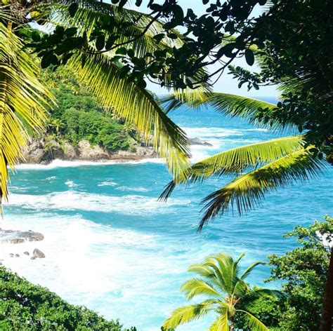 6 reasons why you should vacation in dominica this year vacation honeymoon locations dominica