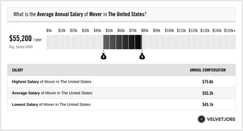 Mover Salary (Actual 2023 | Projected 2024) | VelvetJobs