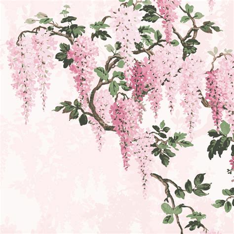 Wisteria Pink Wall Mural By Pearl Lowe Exclusive To Woodchip And Magnolia