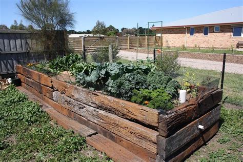 Wicking garden beds - a water and plant saving must in the Australian climate! | Wicking beds