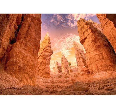 Rose Canyon Wall Mural Tenstickers