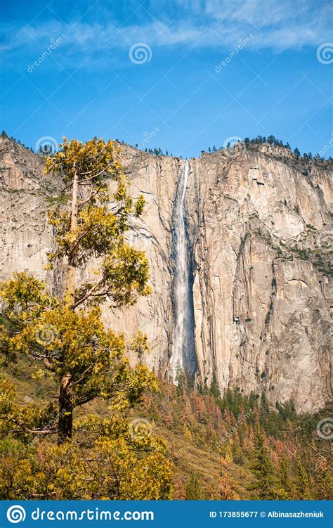 Vertical Scenic Landscape With Waterfall Rocks And Large Sequoia In
