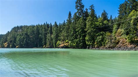 Fondos De Pantalla 2560x1440 Canadá Bosques Lago British Columbia